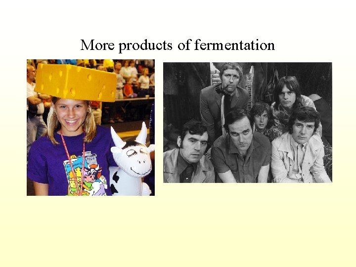 More products of fermentation 