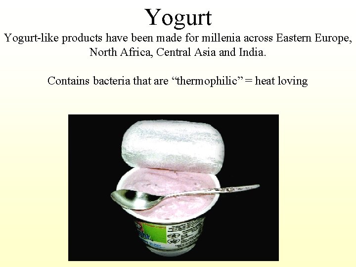 Yogurt-like products have been made for millenia across Eastern Europe, North Africa, Central Asia