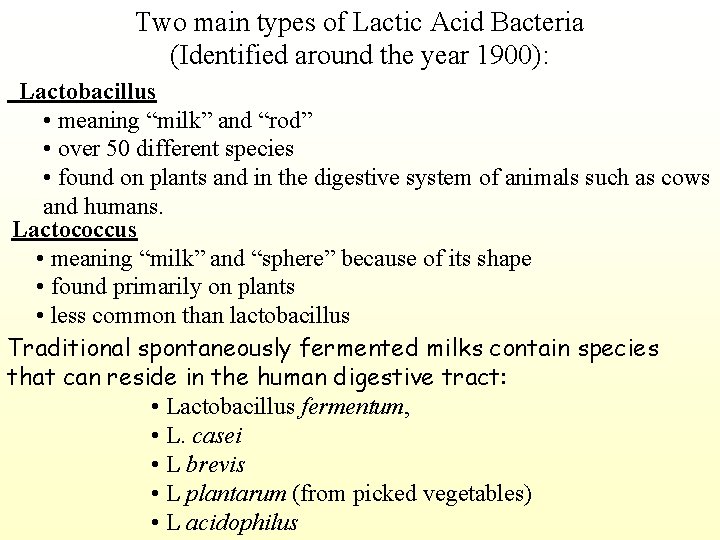Two main types of Lactic Acid Bacteria (Identified around the year 1900): Lactobacillus •