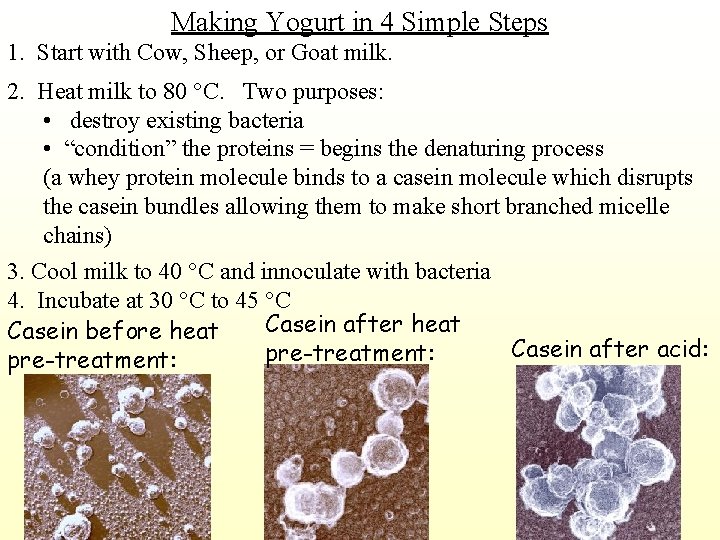 Making Yogurt in 4 Simple Steps 1. Start with Cow, Sheep, or Goat milk.