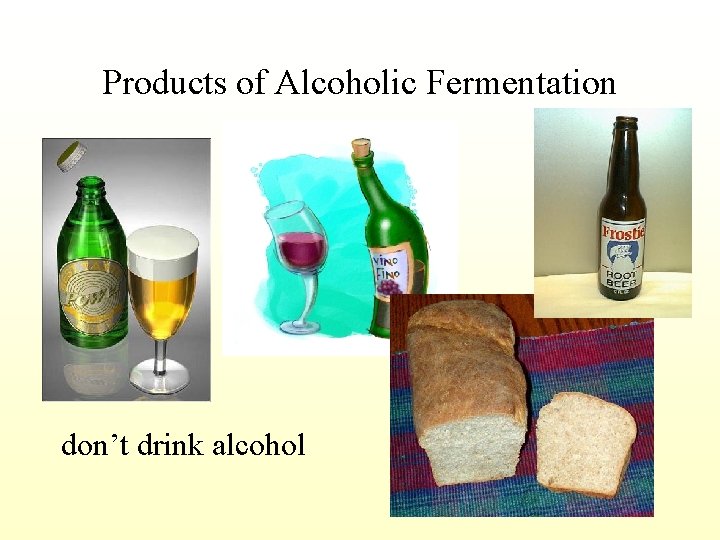 Products of Alcoholic Fermentation don’t drink alcohol 
