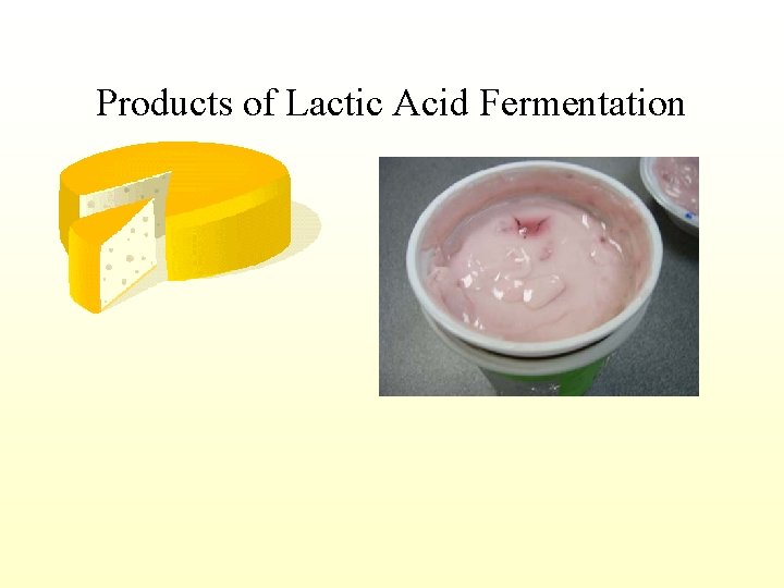 Products of Lactic Acid Fermentation 