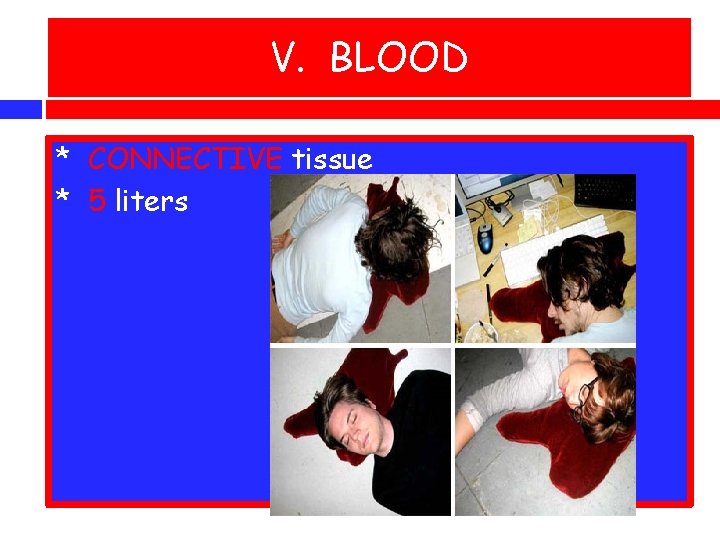 V. BLOOD * CONNECTIVE tissue * 5 liters 