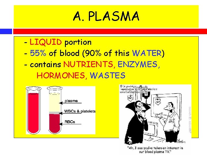 A. PLASMA - LIQUID portion - 55% of blood (90% of this WATER) -