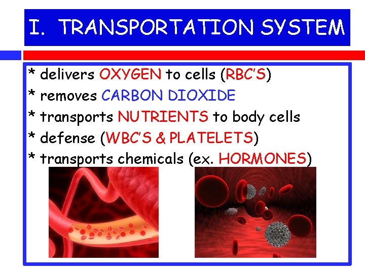 I. TRANSPORTATION SYSTEM * delivers OXYGEN to cells (RBC’S) * removes CARBON DIOXIDE *