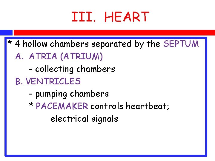 III. HEART * 4 hollow chambers separated by the SEPTUM A. ATRIA (ATRIUM) -