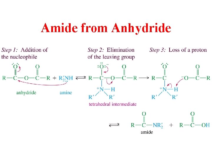 Amide from Anhydride 