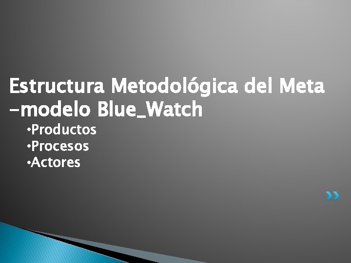 Estructura Metodológica del Meta -modelo Blue_Watch • Productos • Procesos • Actores 
