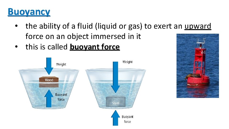 Buoyancy • the ability of a fluid (liquid or gas) to exert an upward