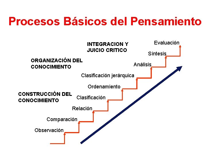 Procesos Básicos del Pensamiento Evaluación INTEGRACION Y JUICIO CRITICO ORGANIZACIÓN DEL CONOCIMIENTO Síntesis Análisis