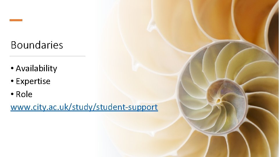 Boundaries • Availability • Expertise • Role www. city. ac. uk/study/student-support 