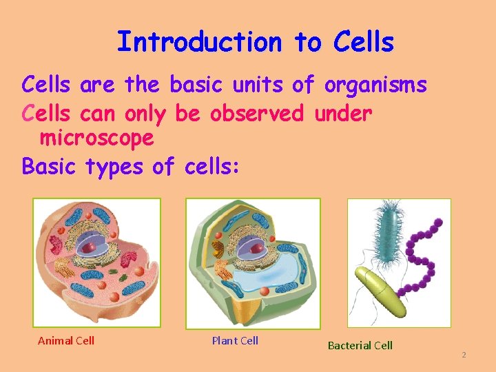 Introduction to Cells are the basic units of organisms Cells can only be observed