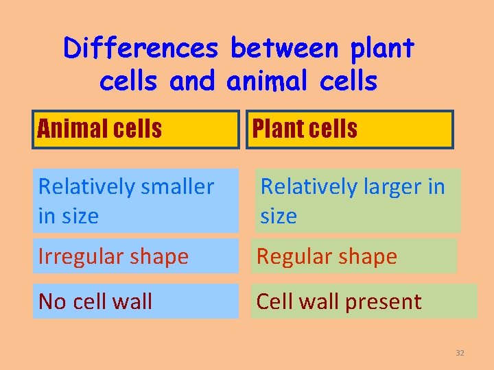 Differences between plant cells and animal cells Animal cells Plant cells Relatively smaller in