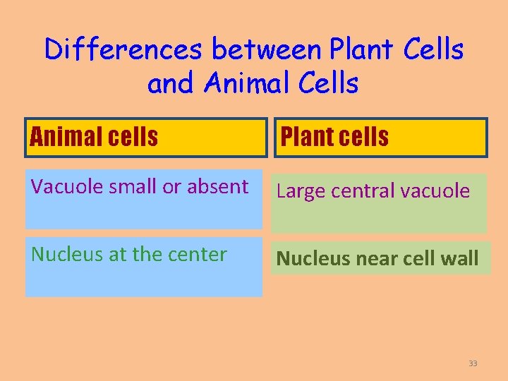 Differences between Plant Cells and Animal Cells Animal cells Plant cells Vacuole small or