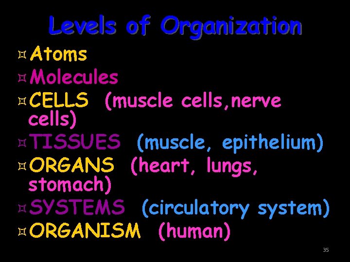 Levels of Organization ³Atoms ³Molecules ³CELLS (muscle cells, nerve cells) ³TISSUES (muscle, epithelium) ³ORGANS