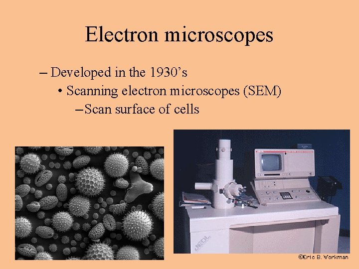 Electron microscopes – Developed in the 1930’s • Scanning electron microscopes (SEM) – Scan