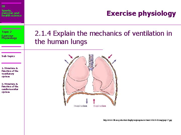 IB Sports, exercise and health science Topic 2 Exercise Physiology Exercise physiology 2. 1.