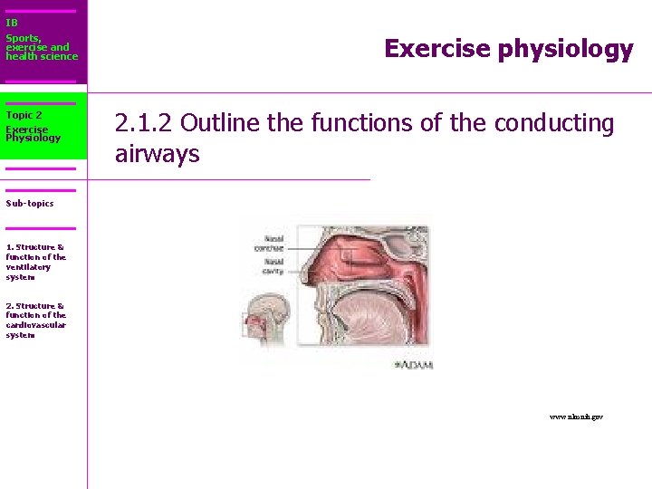 IB Sports, exercise and health science Topic 2 Exercise Physiology Exercise physiology 2. 1.