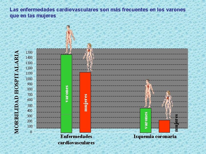 1500 1400 1300 700 600 500 400 300 200 100 0 Enfermedades cardiovasculares mujeres