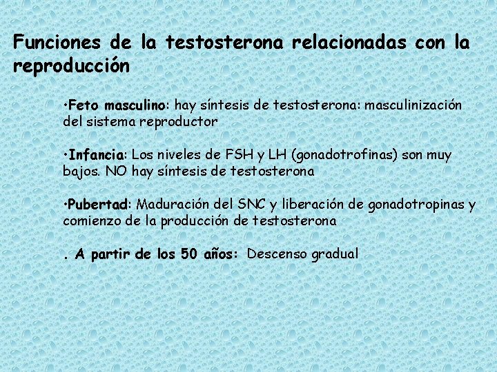 Funciones de la testosterona relacionadas con la reproducción • Feto masculino: hay síntesis de
