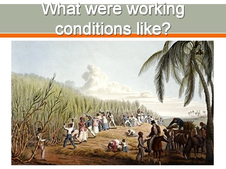 What were working conditions like? 