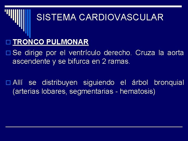 SISTEMA CARDIOVASCULAR o TRONCO PULMONAR o Se dirige por el ventrículo derecho. Cruza la