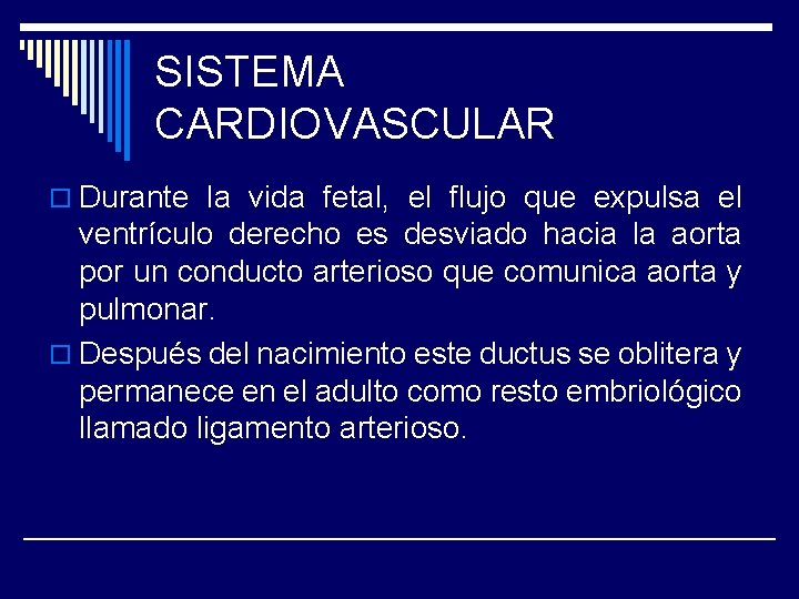 SISTEMA CARDIOVASCULAR o Durante la vida fetal, el flujo que expulsa el ventrículo derecho