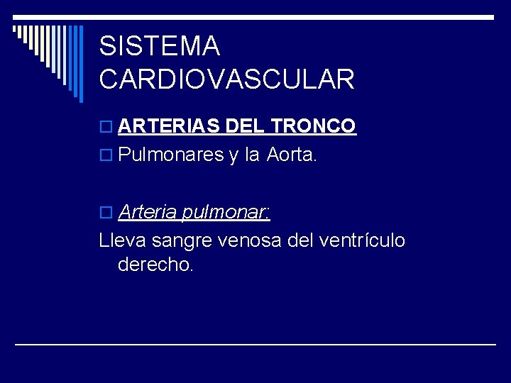 SISTEMA CARDIOVASCULAR o ARTERIAS DEL TRONCO o Pulmonares y la Aorta. o Arteria pulmonar: