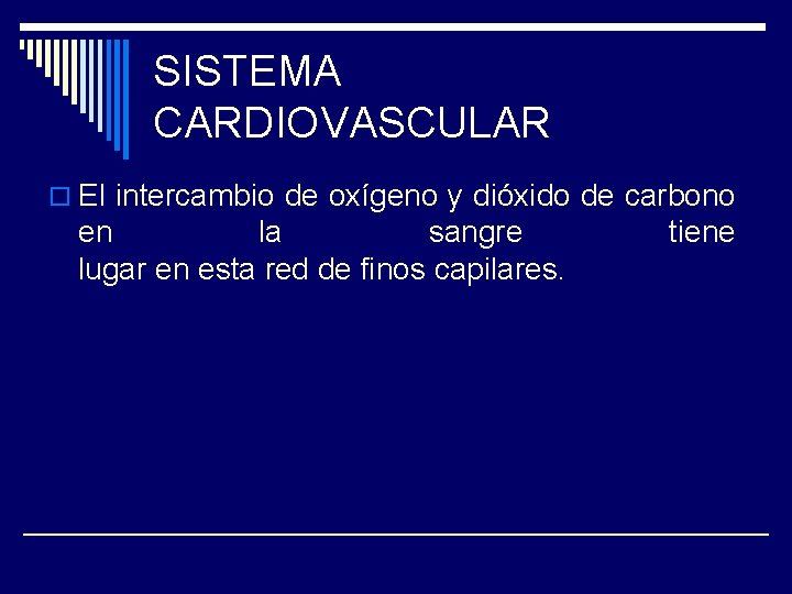 SISTEMA CARDIOVASCULAR o El intercambio de oxígeno y dióxido de carbono en la sangre