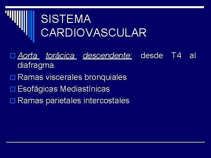 SISTEMA CARDIOVASCULAR o Aorta torácica descendente: diafragma. o Ramas viscerales bronquiales o Esofágicas Mediastínicas