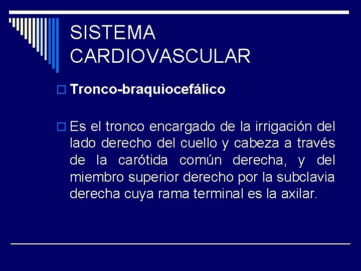 SISTEMA CARDIOVASCULAR o Tronco-braquiocefálico o Es el tronco encargado de la irrigación del lado