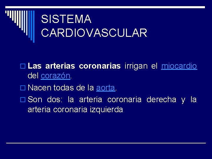 SISTEMA CARDIOVASCULAR o Las arterias coronarias irrigan el miocardio del corazón. o Nacen todas