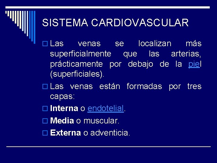 SISTEMA CARDIOVASCULAR o Las venas se localizan más superficialmente que las arterias, prácticamente por