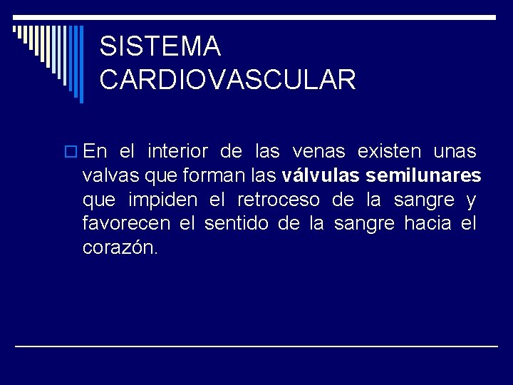 SISTEMA CARDIOVASCULAR o En el interior de las venas existen unas valvas que forman