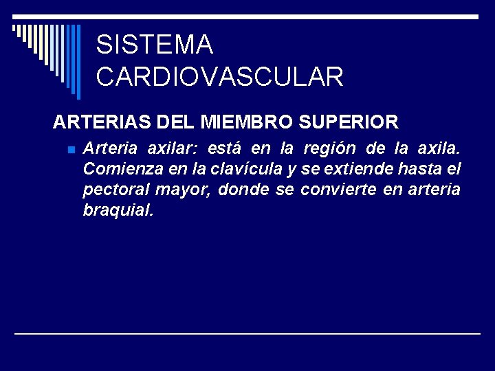 SISTEMA CARDIOVASCULAR ARTERIAS DEL MIEMBRO SUPERIOR n Arteria axilar: está en la región de