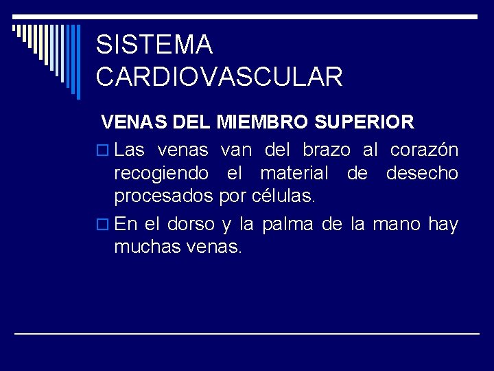 SISTEMA CARDIOVASCULAR VENAS DEL MIEMBRO SUPERIOR o Las venas van del brazo al corazón