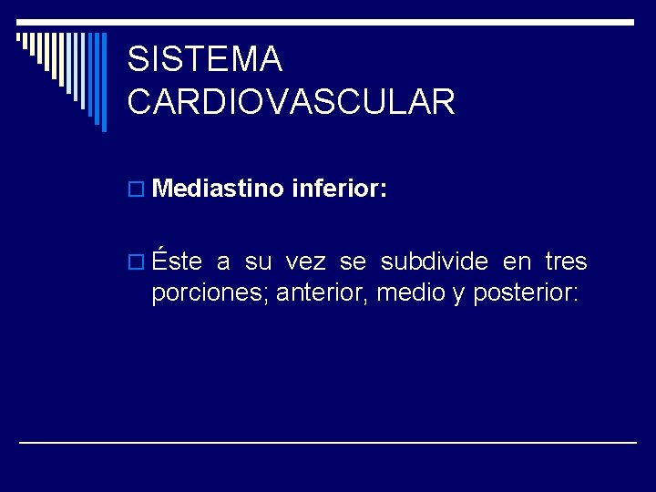 SISTEMA CARDIOVASCULAR o Mediastino inferior: o Éste a su vez se subdivide en tres