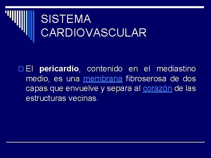 SISTEMA CARDIOVASCULAR o El pericardio, contenido en el mediastino medio, es una membrana fibroserosa