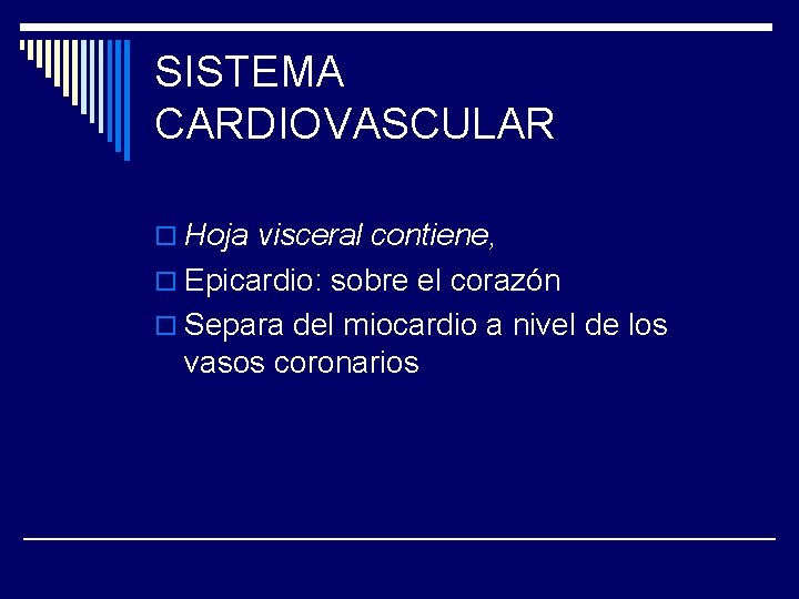 SISTEMA CARDIOVASCULAR o Hoja visceral contiene, o Epicardio: sobre el corazón o Separa del