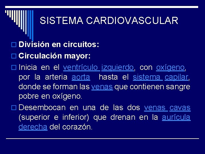 SISTEMA CARDIOVASCULAR o División en circuitos: o Circulación mayor: o Inicia en el ventrículo