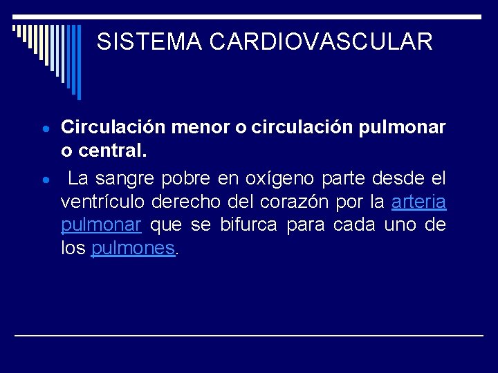 SISTEMA CARDIOVASCULAR Circulación menor o circulación pulmonar o central. La sangre pobre en oxígeno