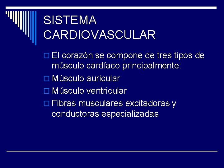 SISTEMA CARDIOVASCULAR o El corazón se compone de tres tipos de músculo cardíaco principalmente: