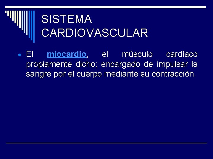 SISTEMA CARDIOVASCULAR El miocardio, el músculo cardíaco propiamente dicho; encargado de impulsar la sangre