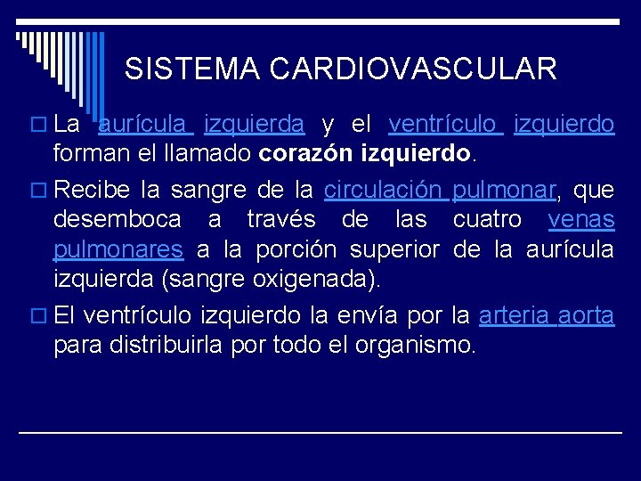 SISTEMA CARDIOVASCULAR o La aurícula izquierda y el ventrículo izquierdo forman el llamado corazón