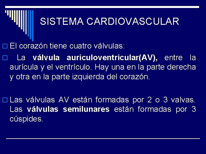 SISTEMA CARDIOVASCULAR o El corazón tiene cuatro válvulas: o La válvula auriculoventricular(AV), entre la