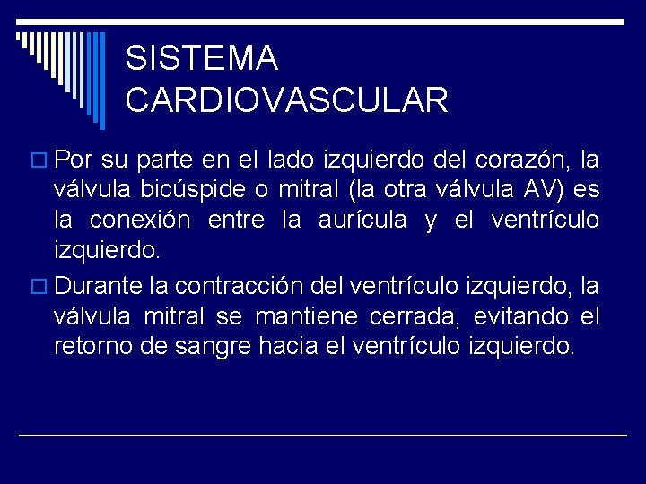 SISTEMA CARDIOVASCULAR o Por su parte en el lado izquierdo del corazón, la válvula