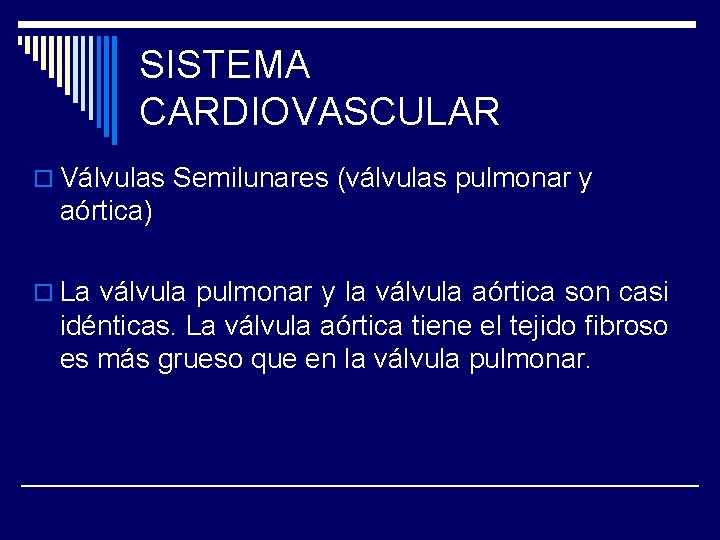 SISTEMA CARDIOVASCULAR o Válvulas Semilunares (válvulas pulmonar y aórtica) o La válvula pulmonar y