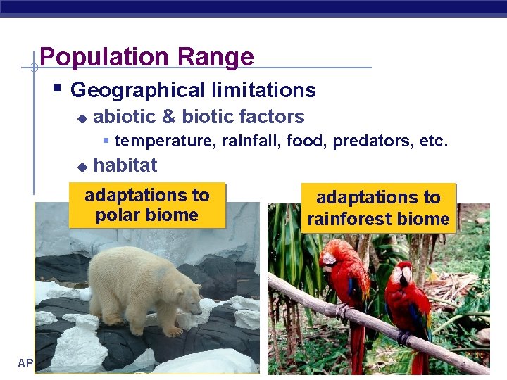 Population Range § Geographical limitations u abiotic & biotic factors § temperature, rainfall, food,