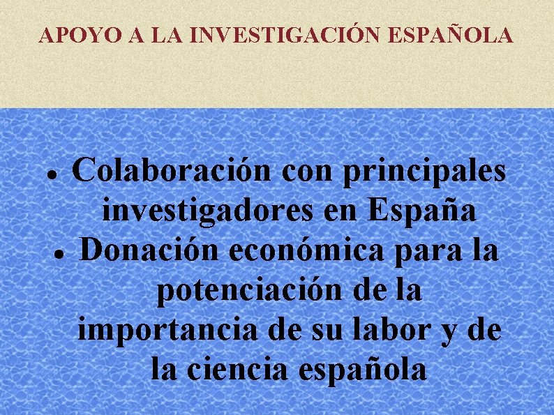 APOYO A LA INVESTIGACIÓN ESPAÑOLA Colaboración con principales investigadores en España Donación económica para