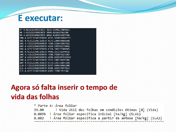 E executar: Agora só falta inserir o tempo de vida das folhas 